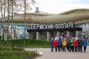 Роботы в Перми и новый зоопарк